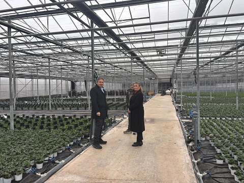 Başkan Fazlaca, Fırtına Nedeniyle Seraları Zarar Gören Çiftçileri Ziyaret Etti. 